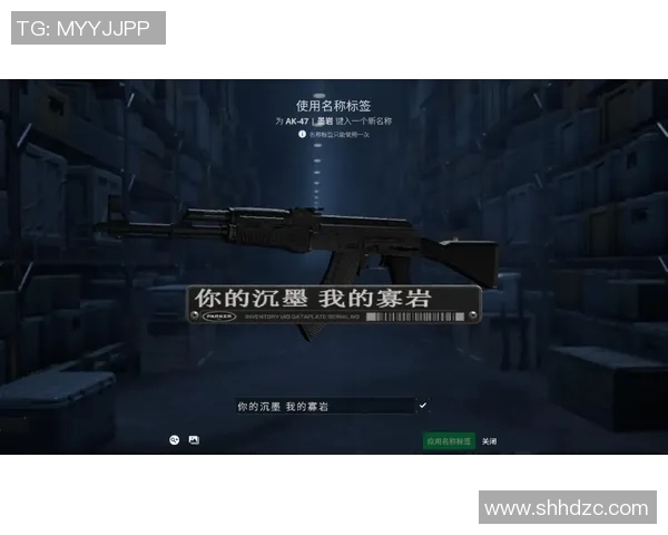 李敏深度解析CSGO游戏技巧与策略分享，助你提升竞技水平